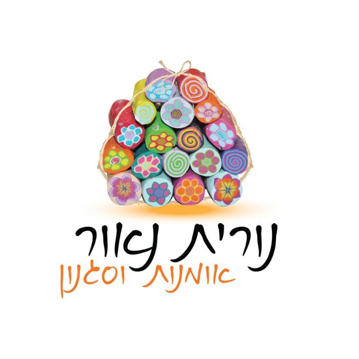 נורית נאור לוגו