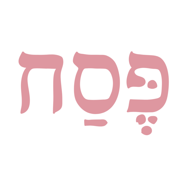 הרמת כוסית, כיבוד, פעילויות