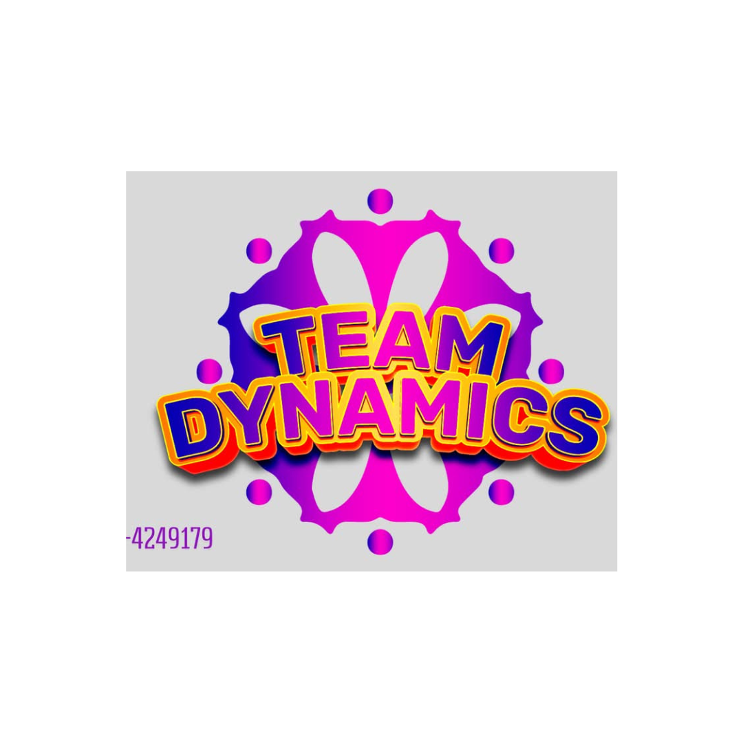 טים דיינמיקס Team Dynamics