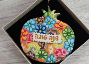 נורית נאור1