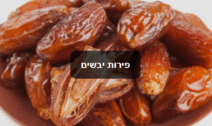 הקולה בעיר 3