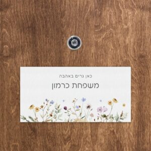 אהבה קטנה