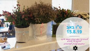 רעיונות לטו באב