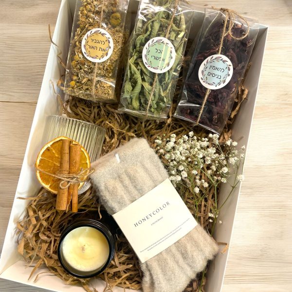 הדר יולי Reflections