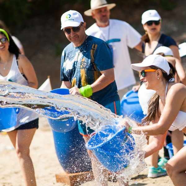 טים דיינמיקס Team Dynamics