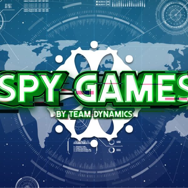 טים דיינמיקס Team Dynamics