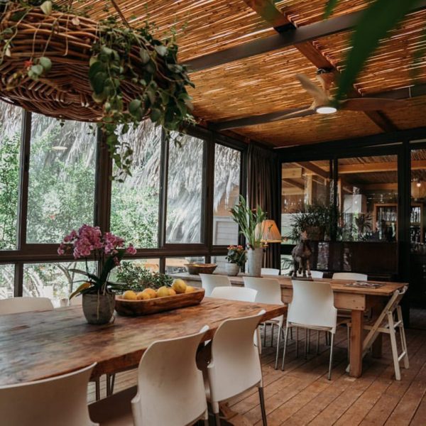 החווה של דני