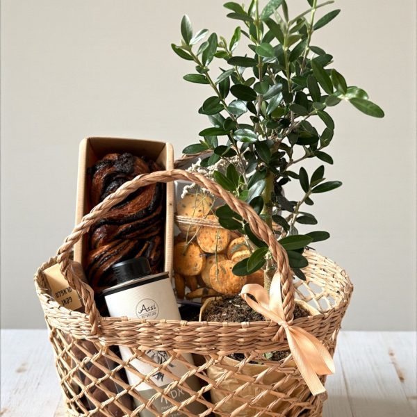 הדר יולי Reflections