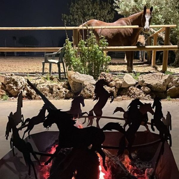 בושקראפט bushcraft