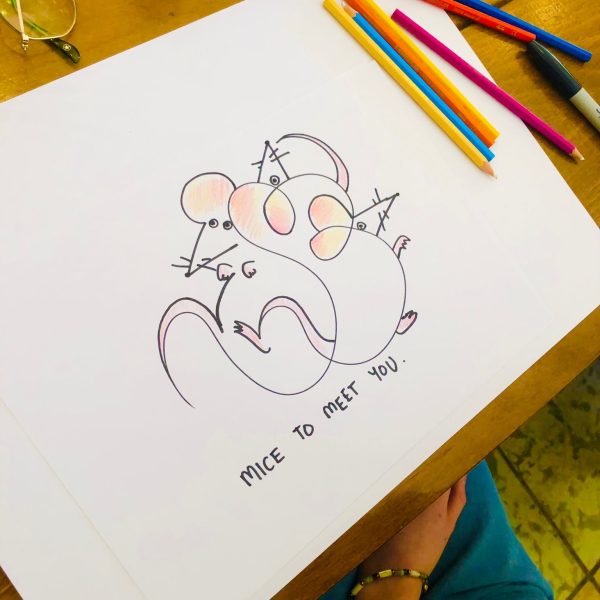 דודלינג 24.7 6