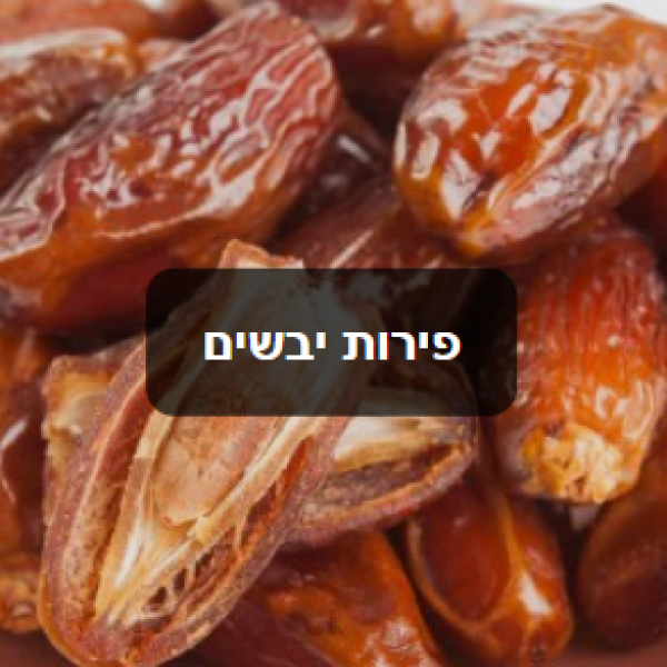 הקולה בעיר 3