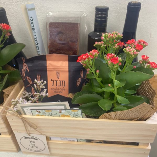 תמונה של WhatsApp‏ 2025-02-05 בשעה 12.26.30_dc374d3a